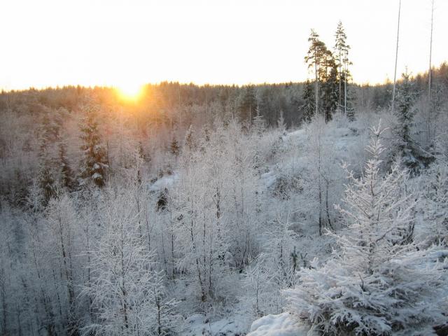 Luminen Suoniemi